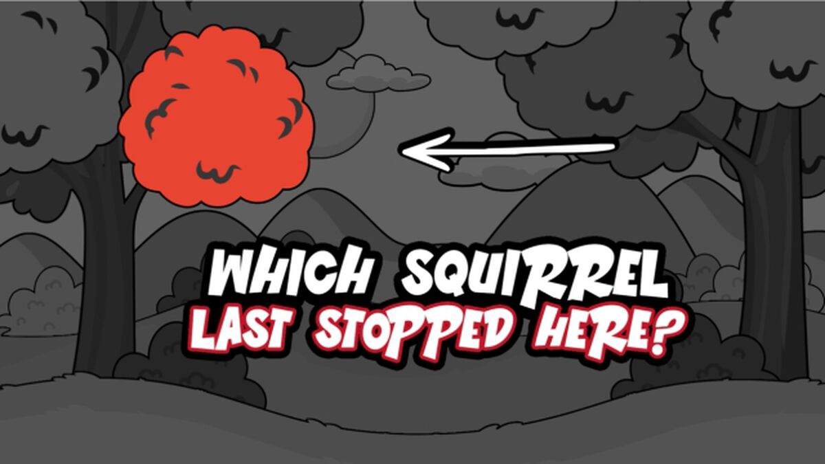 Squirrel Mayhem image number null